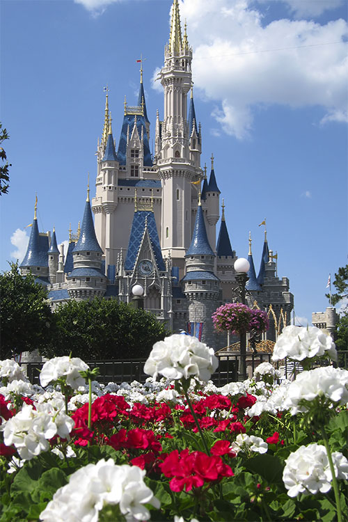 Castle w/ flowers