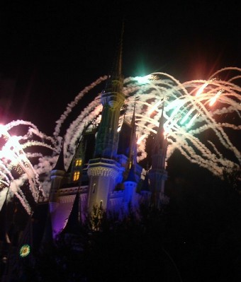 Castle_Wishes_web