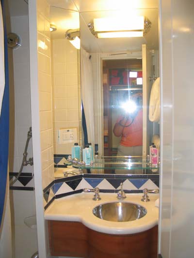 Cat 9 bathroom Wonder