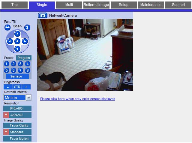 Cat Cam