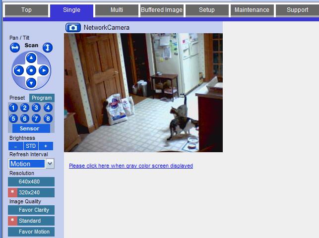 Cat Cam