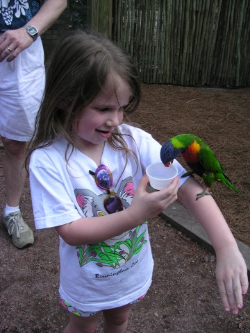 Catherine feeding a lorikeet