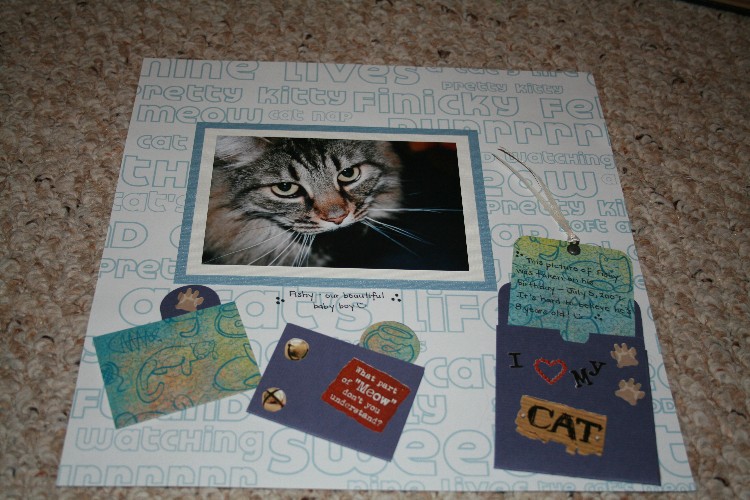 cats_1_small