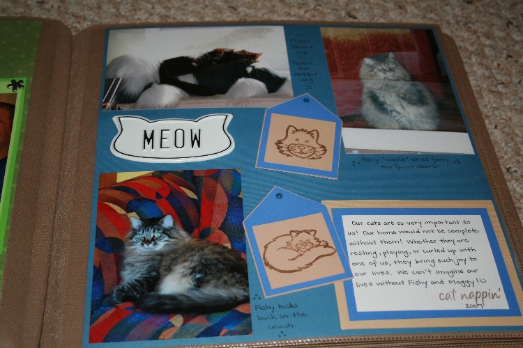 cats_3_small