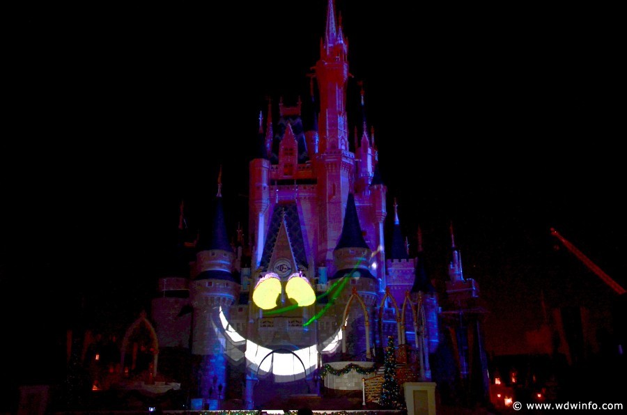 celebrate-the-magic-025