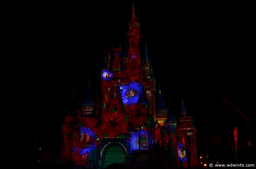CelebrateTheMagic-_42