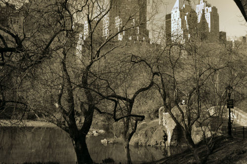 Central Park in March