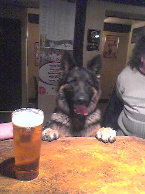 cerberus153