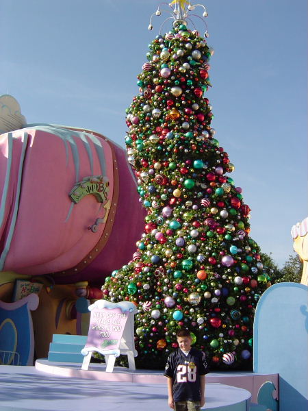 Chan and Suess Tree