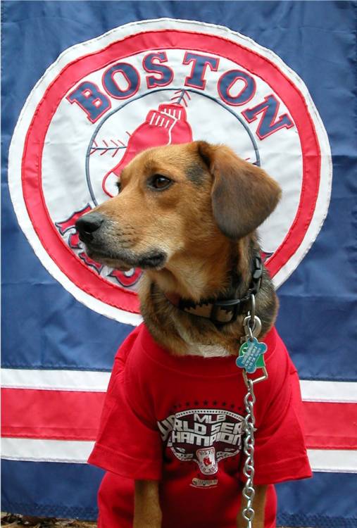 Chester celebrates Sox WS victory