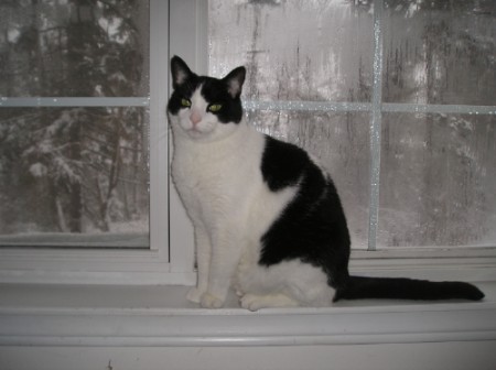 Chico_033