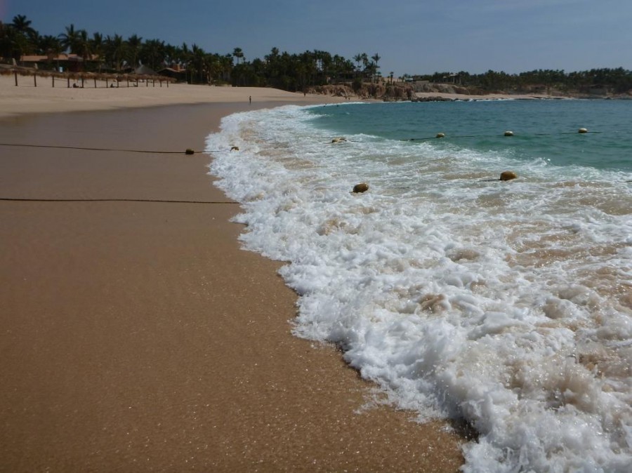Chileno Bay Beach