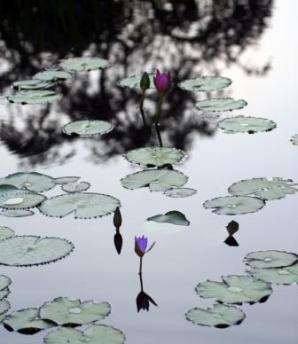 China Water Garden