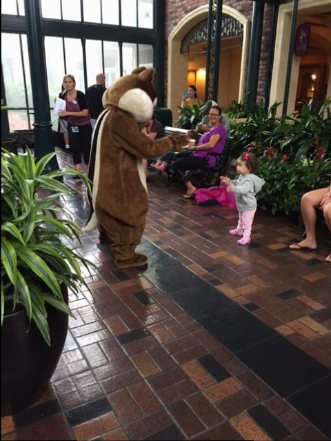 Chip & Dale In Lobby 2 - POFQ 09-10-17