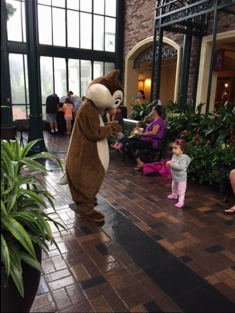 Chip & Dale In Lobby 3 - POFQ 09-10-17