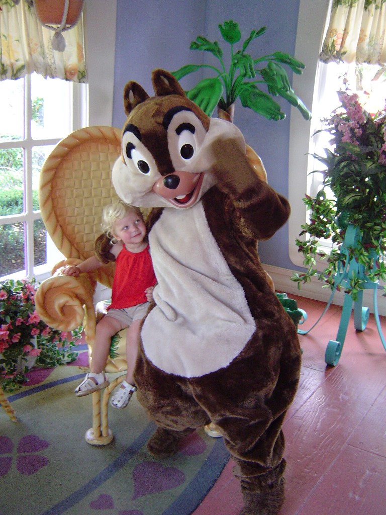 Chip1-8/2003