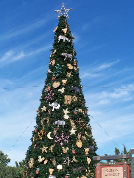 Christmas at AK