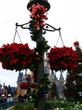 Christmas Greenery