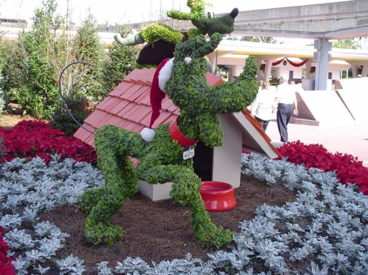 Christmas Pluto Bush