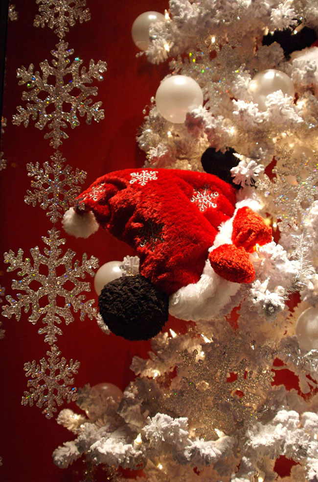 Christmas window