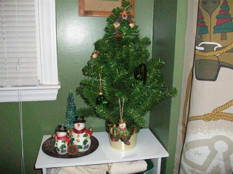 Christmas08_10mp_038_Medium_