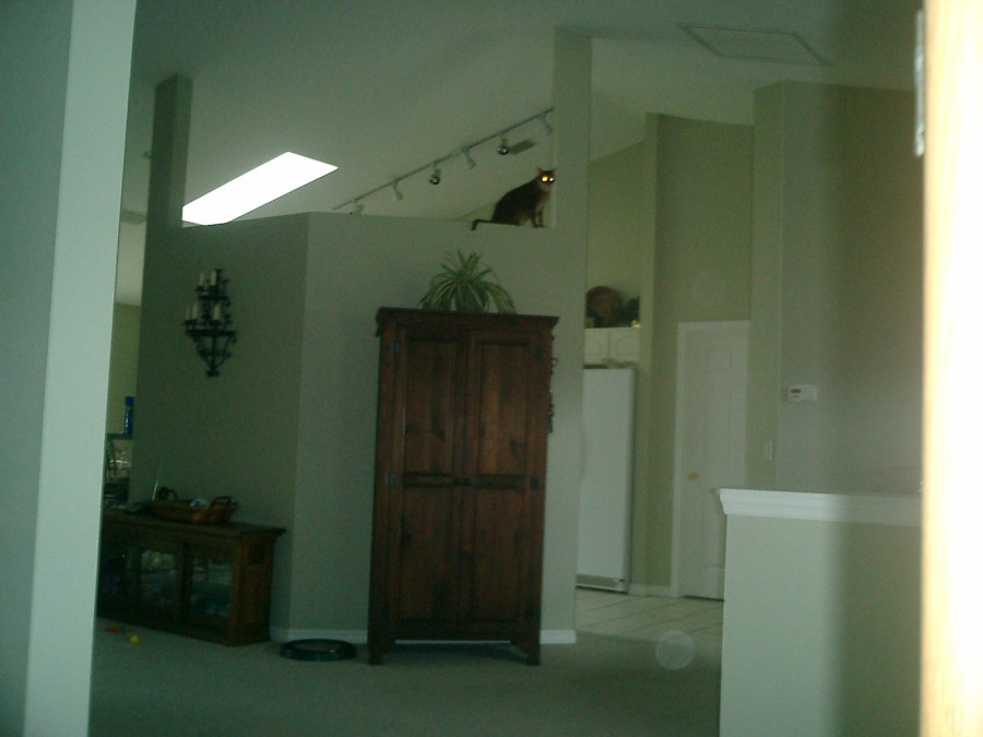 CIMG0314