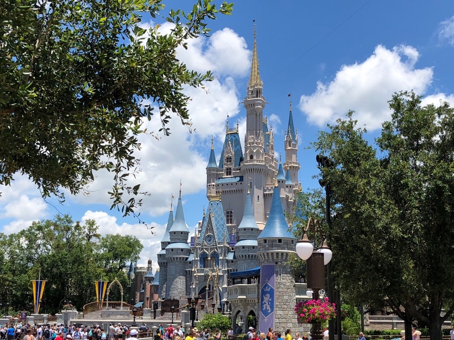 Cinderella-Castle - 10