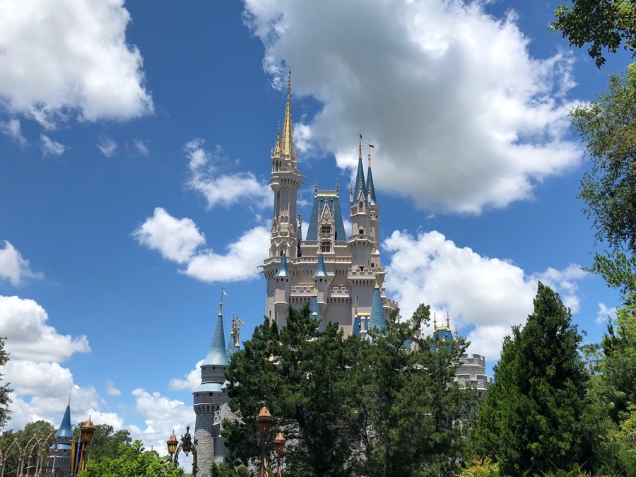 Cinderella-Castle - 6