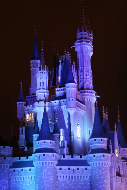Cinderella Castle at Night