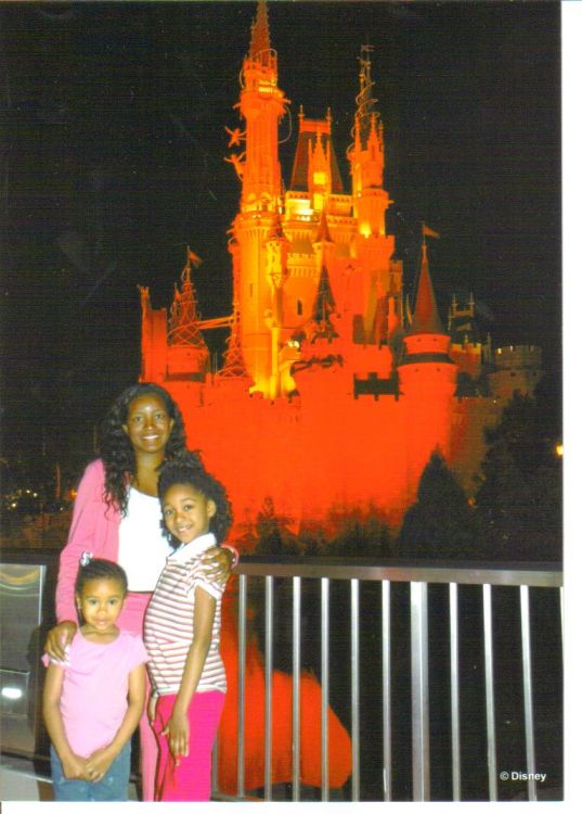 Cinderella Castle At Night