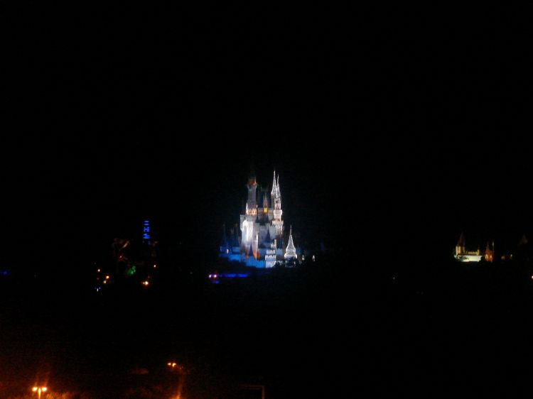 Cinderella Castle Holiday Wish Lights