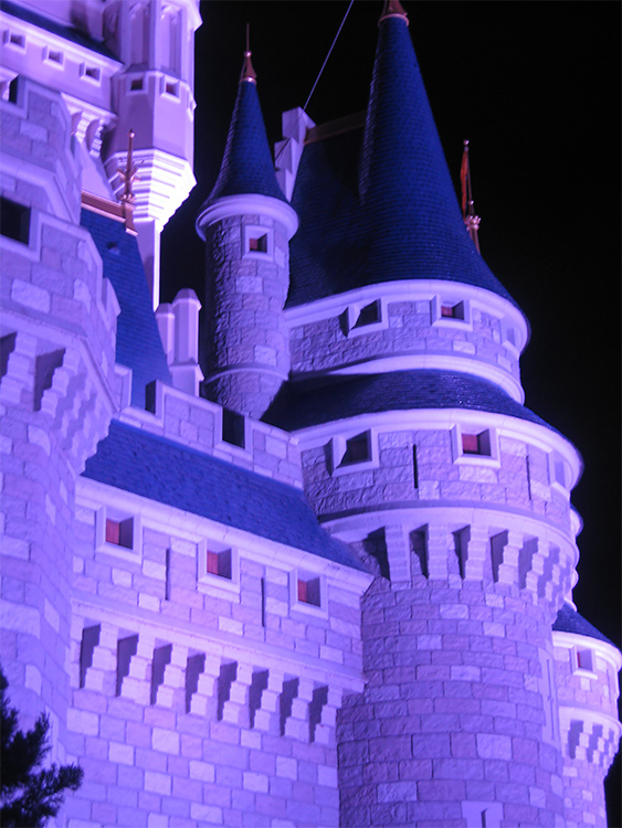 Cinderella Castle