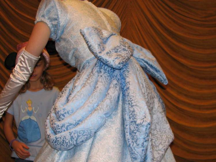 Cinderella's Bustle