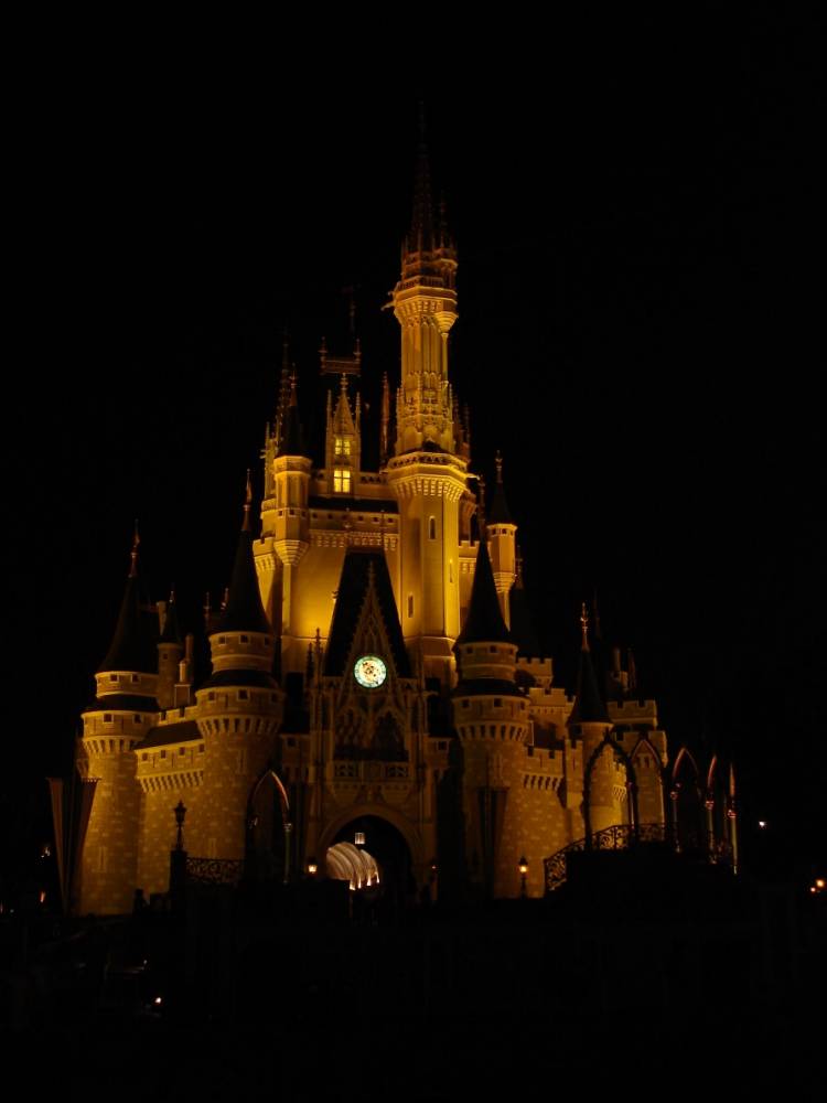 Cinderella's Castle at night
