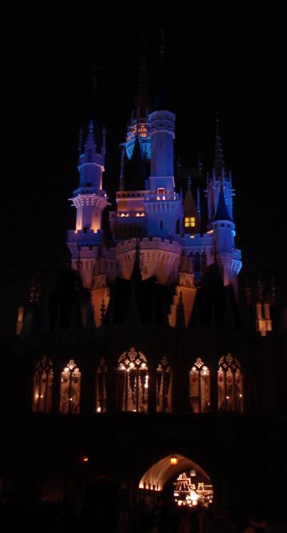 Cinderella's Castle at night