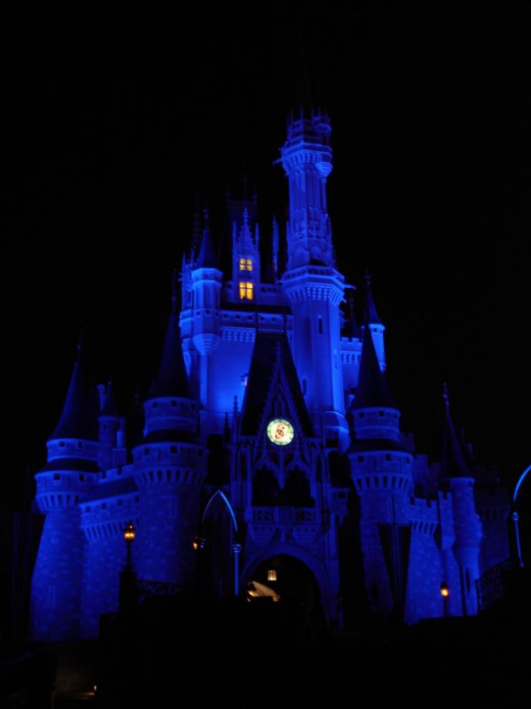 Cinderella's Castle in dark blue