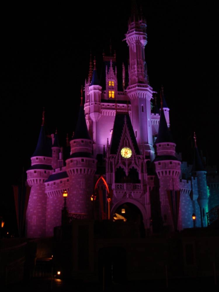 Cinderella's Castle in purple