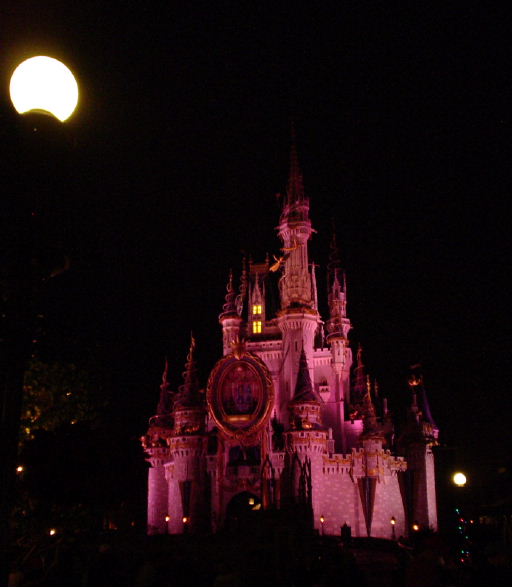 Cinderella's Castle - night