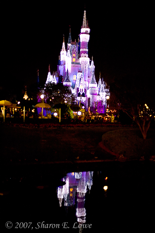 Cinderella's Castle