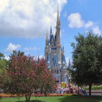 Cinderella's Castle
