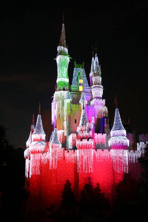 Cinderella's Wish