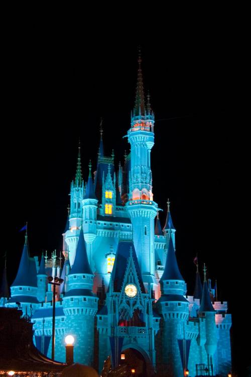 Cindy's Castle at Night