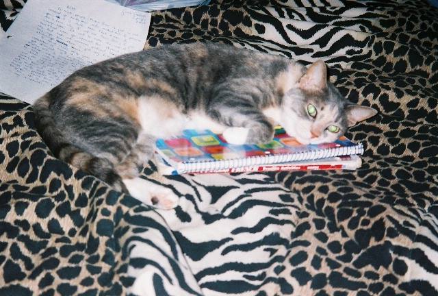cleo