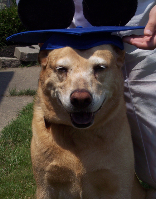 Coco's Graduation Day