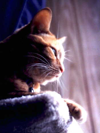 colby2