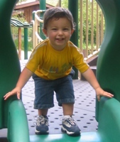 colin_sig_zoo