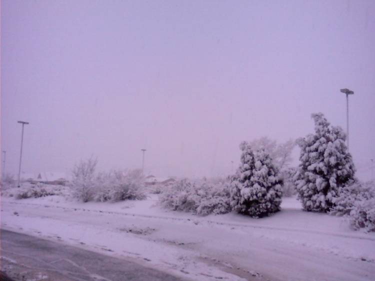 Colorado Spring Morning