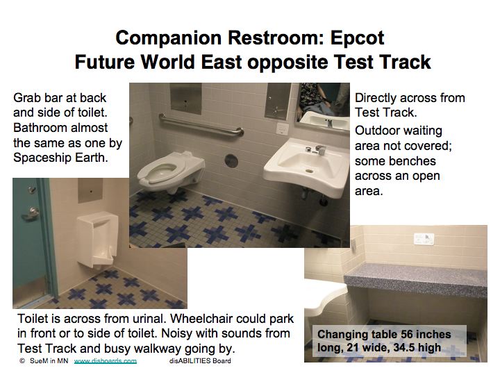 Companion RR Epcot2