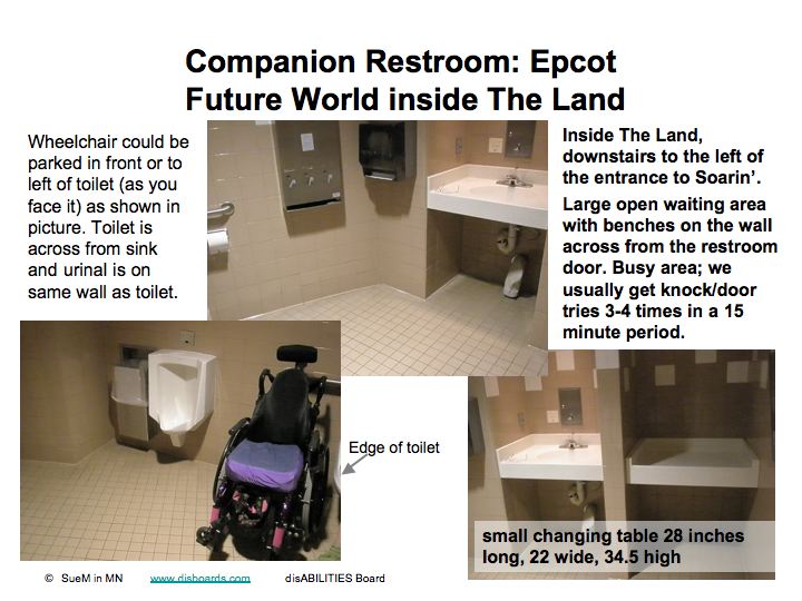 Companion RR Epcot3