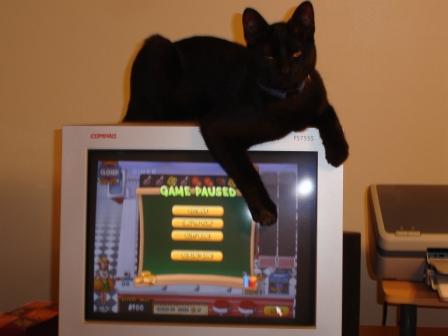 computer_time